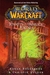 Jenseits des Dunklen Portals (World of WarCraft, #4)