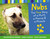 Nubs by Brian Dennis