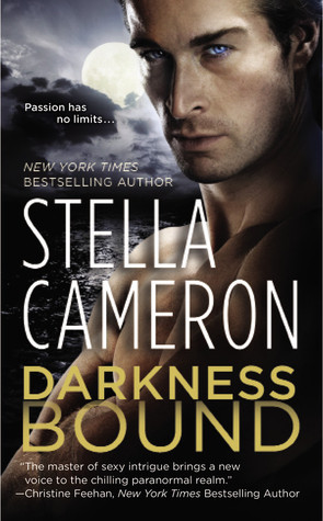 Darkness Bound (Chimney Rock #1)