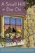 A Small Hill to Die On: A Penny Brannigan Mystery (ebook)