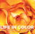 Life In Color by Susan Hitchcock Life In Color by Susan Hitchcock