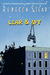Liar & Spy (Hardcover)
