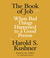 The Book of Job: When Bad Things Happened to a Good Person (Audio)