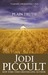 Plain Truth (Paperback)