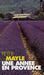 Une année en Provence (Paperback)