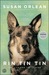 Rin Tin Tin: The Life and the Legend (ebook)