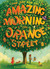 One Day and One Amazing Morning on Orange Street (Paperback)