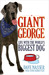 Giant George (Paperback)