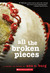 All the Broken Pieces (Paperback)