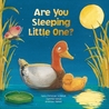 Are You Sleeping Little One Are You Sleeping Little One