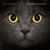 The Life and Love of Cats