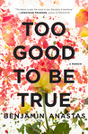 Too Good to Be True by Benjamin Anastas Too Good to Be True by Benjamin Anastas