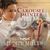 The Carousel Painter (Audio)