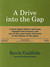 A Drive into the Gap (Field Notes Brand Book)