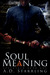 Soul Meaning by A.D. Starrling