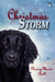 Christmas Storm by Nancy Marie Bell Christmas Storm by Nancy Marie Bell