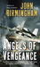 Angels Of Vengeance (The Disappearance, #3)