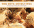 The Hive Detectives: Chronicle of a Honey Bee Catastrophe (Paperback)
