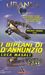 I biplani di d'Annunzio