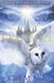 The Doomspell (Paperback)