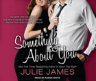 Something About You (FBI / US Attorney, #1)
