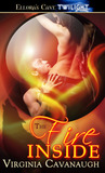 The Fire Inside The Fire Inside