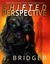 Shifted Perspective (Tails ...