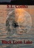 Black Loon Lake (Kindle Edition)