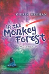 In the Monkey Forest