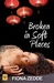 Broken in Soft Pl...