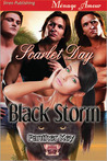 Black Storm (Panther Key, #1)
