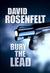 Bury the Lead (Andy Carpenter Series, #3)