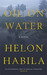 Oil on Water (Paperback)