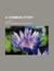 A Common Story; A Novel (Paperback)