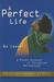 A Perfect Life: A Plain Account of Christian Perfection (Paperback)