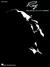Ray: Music from the Motion ...