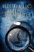 Sleuth LLC: Birds of a Feat...