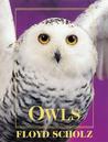 Owls by Floyd Scholz
