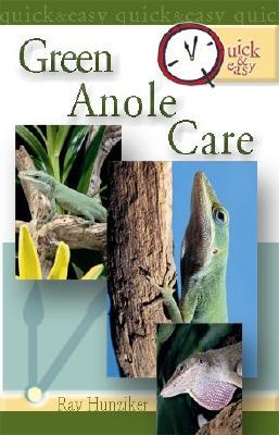 Quick & Easy Green Anole Care