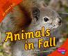 Animals In Fall (Pebble Plus)