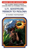 U.N. Adventure by R.A. Montgomery
