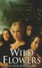 Wild Flowers by V.C. Andrews Wild Flowers by V.C. Andrews
