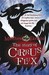 The Story of Cirrus Flux (Paperback)