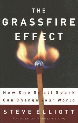 The Grassfire Effect: How One Small Spark Can Change Your World