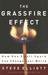 The Grassfire Effect: How One Small Spark Can Change Your World