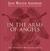 In the Arms of Angels: True Stories of Heavenly Guardians (Paperback)