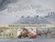 Bodies from the Ice: Meltin...
