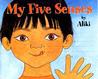 My Five Senses Big Book by Aliki My Five Senses Big Book by Aliki