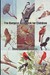The Burgess Bird Book for Children (Paperback)