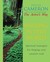 Walking In This World: Spiritual strategies for forging your creative trail (Paperback)